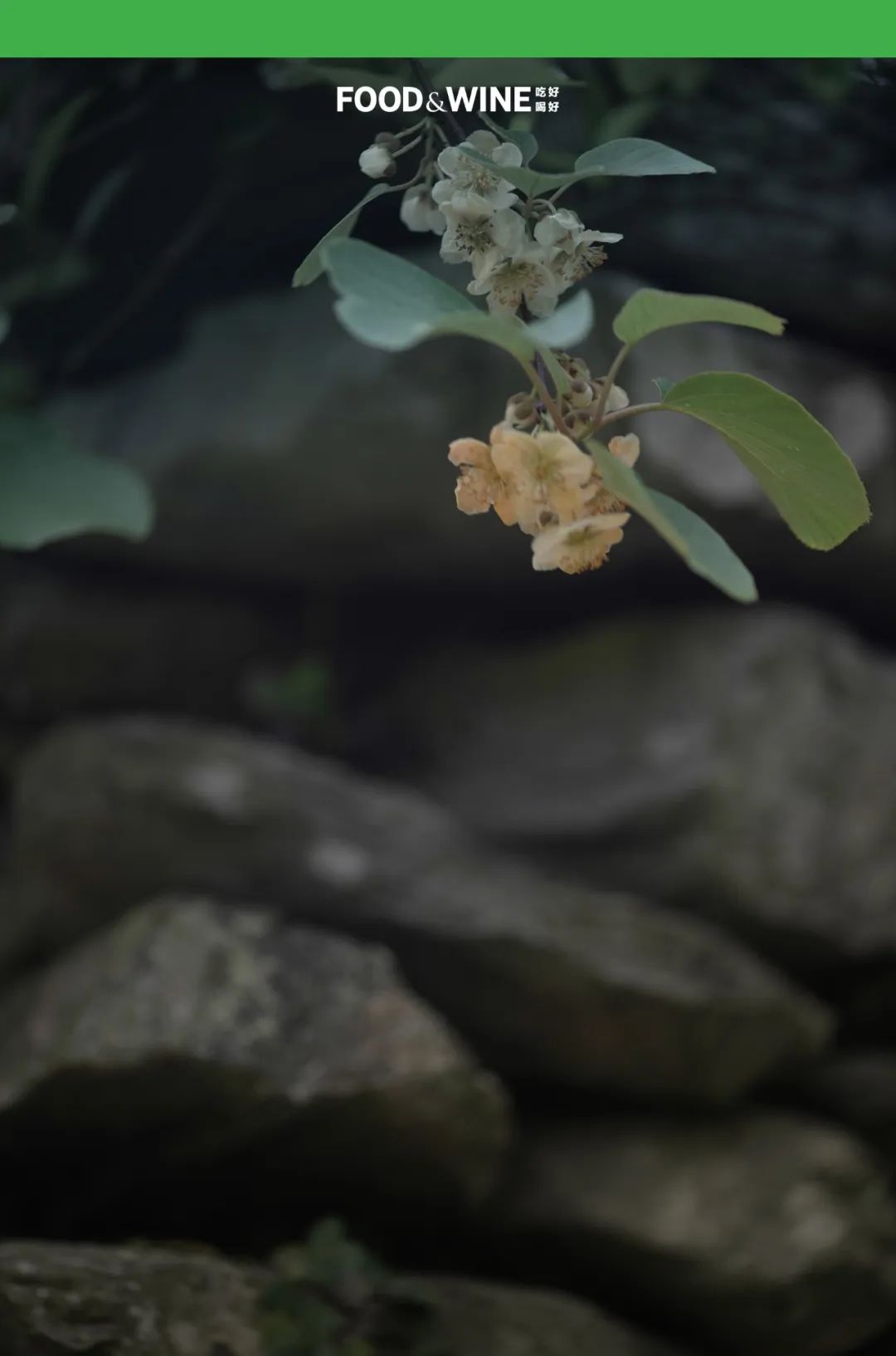 鏅痉闀囧搴欏悆鏂嬮キ,涓囧绂呭鏂嬮キ