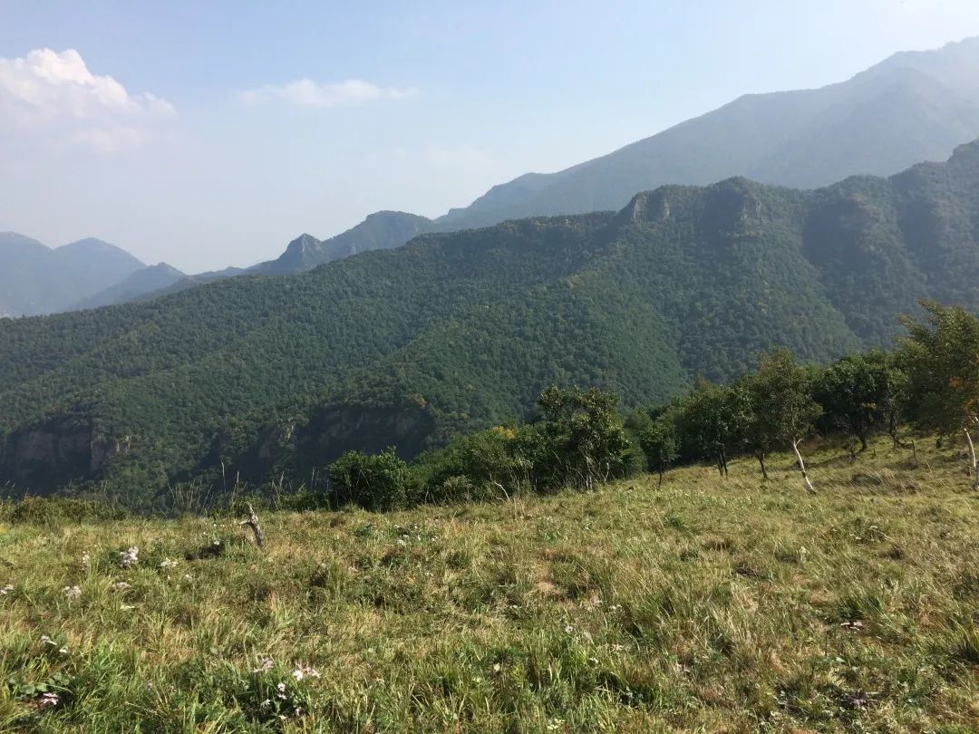 小五台山风景区攻略,小五台山自然保护区