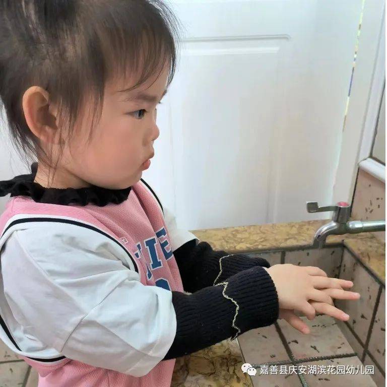 小手的探秘之旅|嘉善县庆安湖滨花园幼儿园小班组课程故事