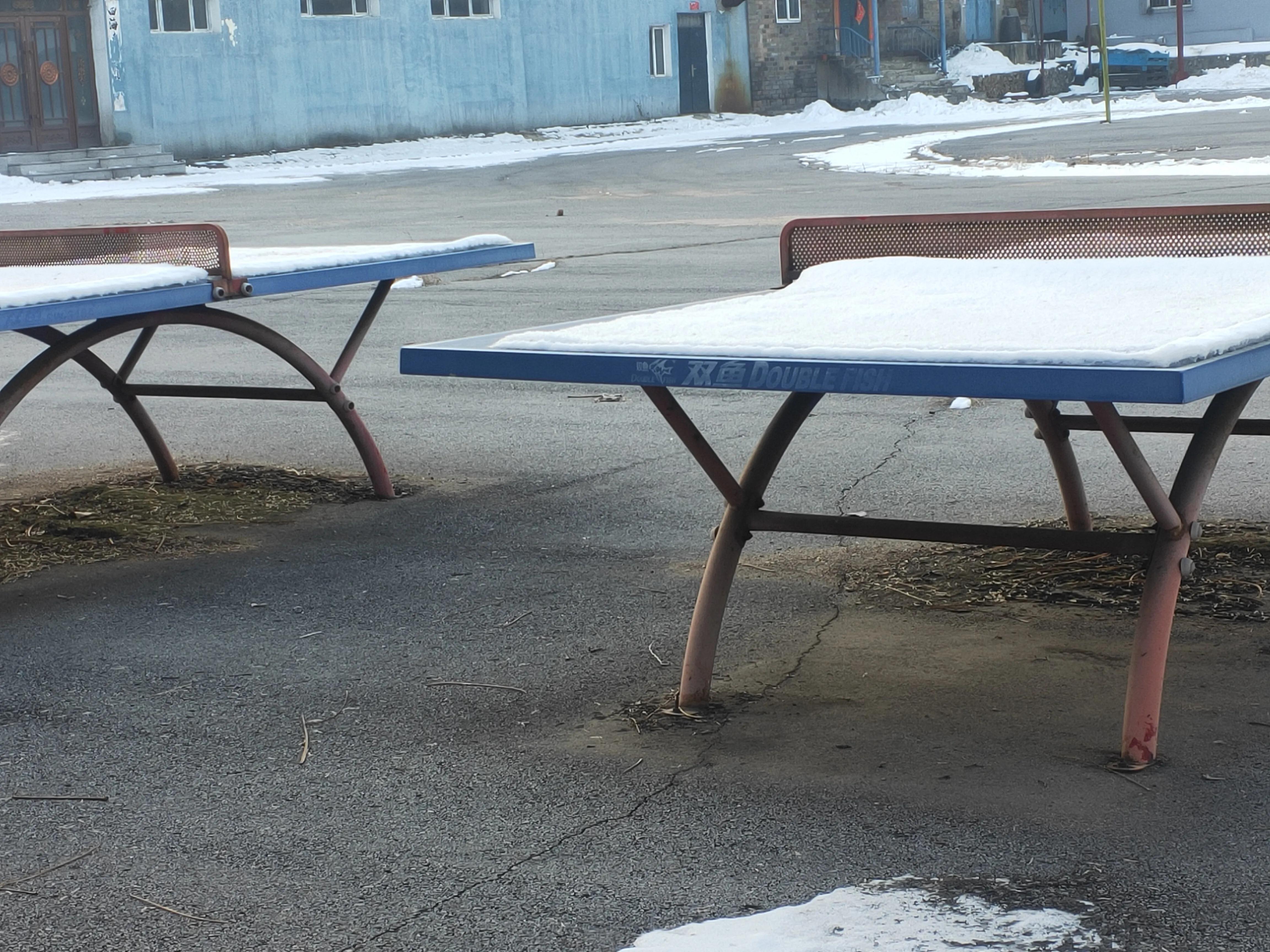 热身服乒乓球,蝴蝶乒乓球衣