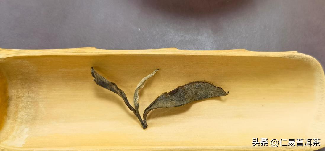 2023年春普洱茶品质,2020年怎么买到好的普洱生茶