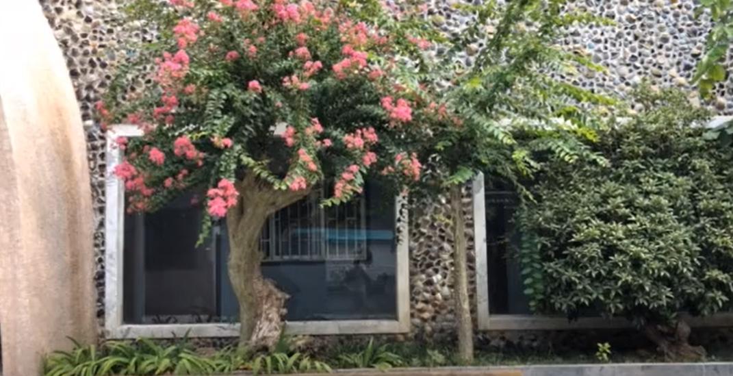 郑州室内旅游攻略必去景点,郑州景点室内游玩攻略