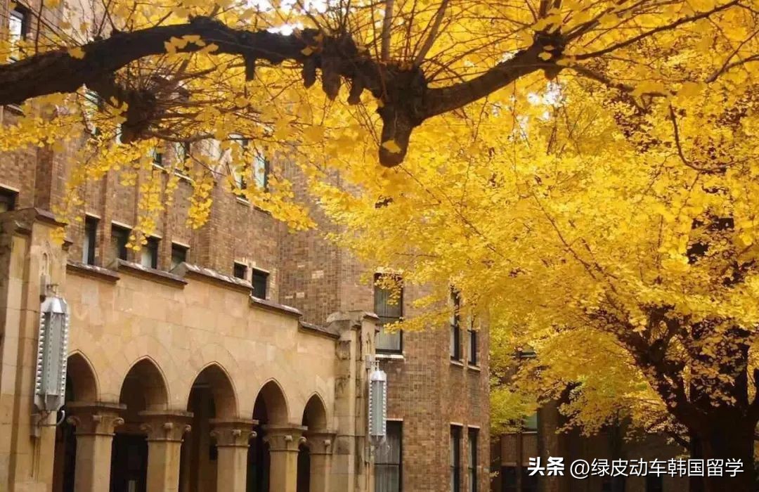 韩国一般大学院和专门大学院区别,韩国大学院大学排名