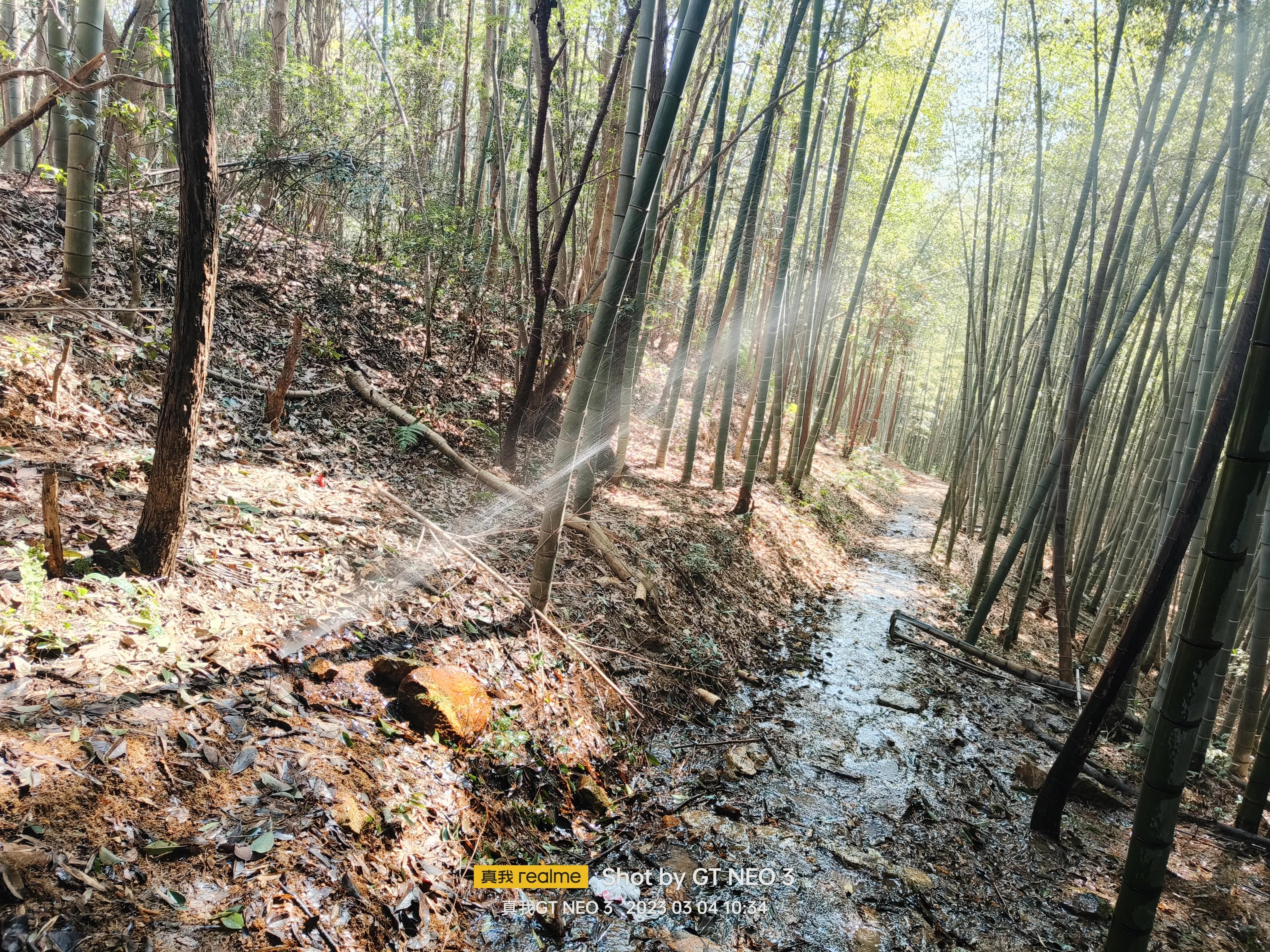 宁波五龙潭攻略,宁波五龙潭湖