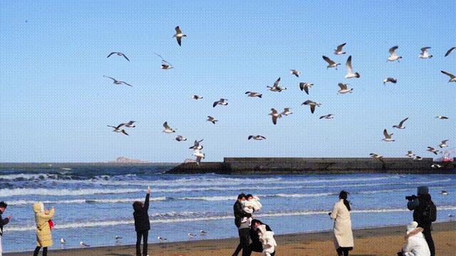 北纬37度一座神奇的城市,北纬37度神奇之地