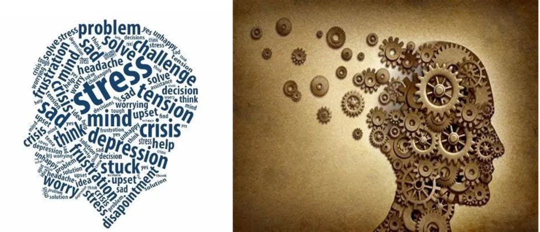 卵巢和年龄的关系,你的卵巢