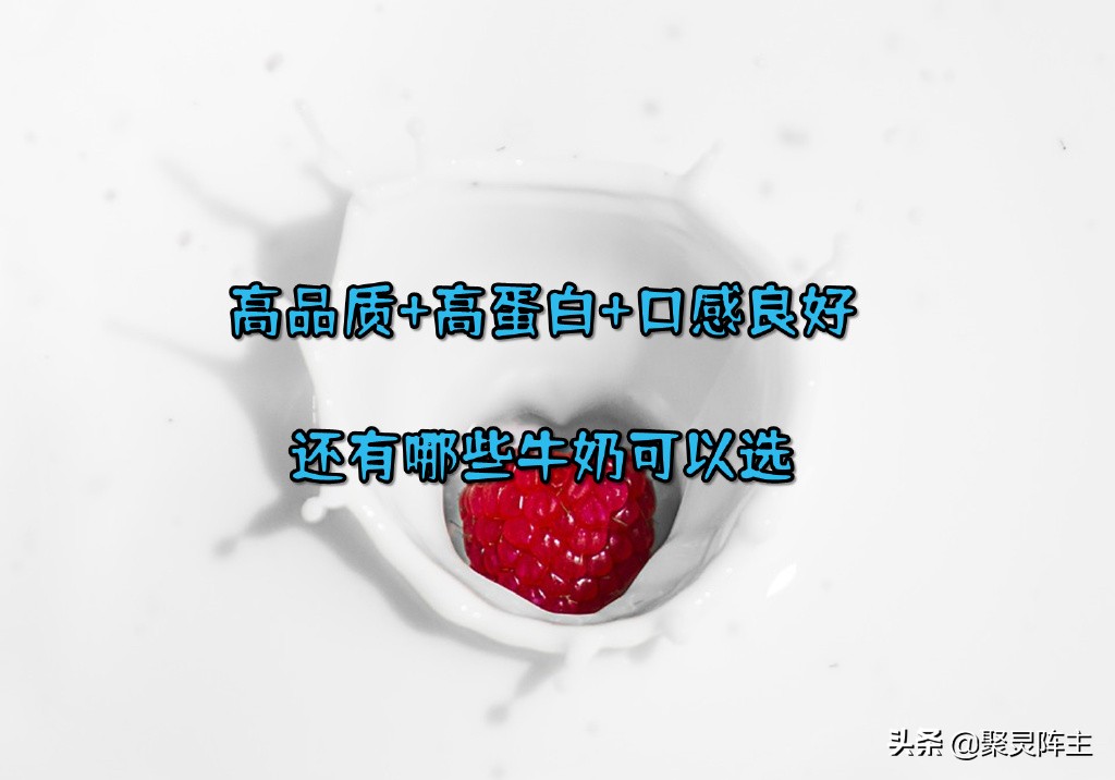 优质高蛋白的牛奶有哪些,高蛋白的纯牛奶推荐