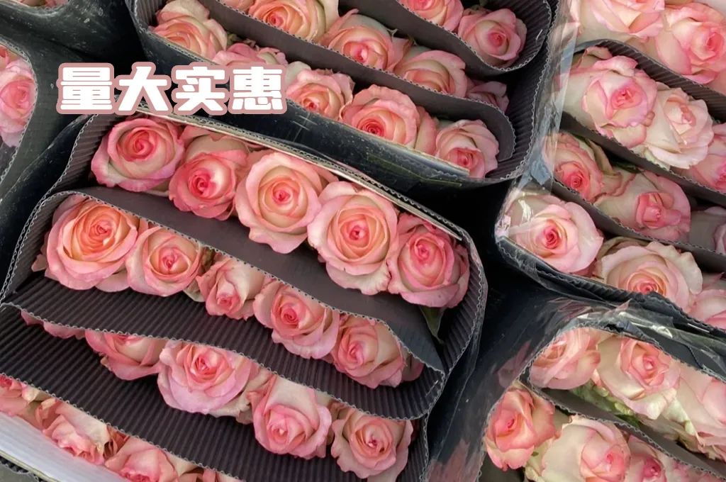 520送礼首选爽爆舌尖的味觉之旅,520一杯会告白的奶茶