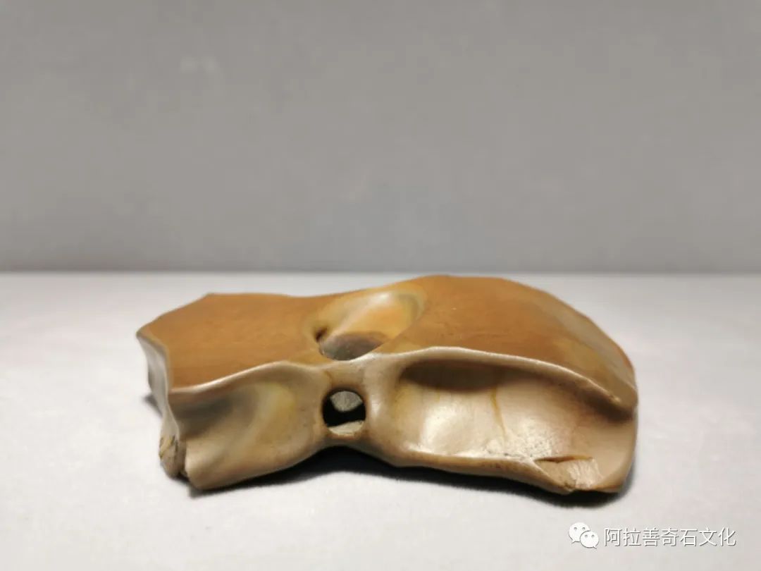 阿拉善奇石博物馆,阿拉善黄碧玉奇石