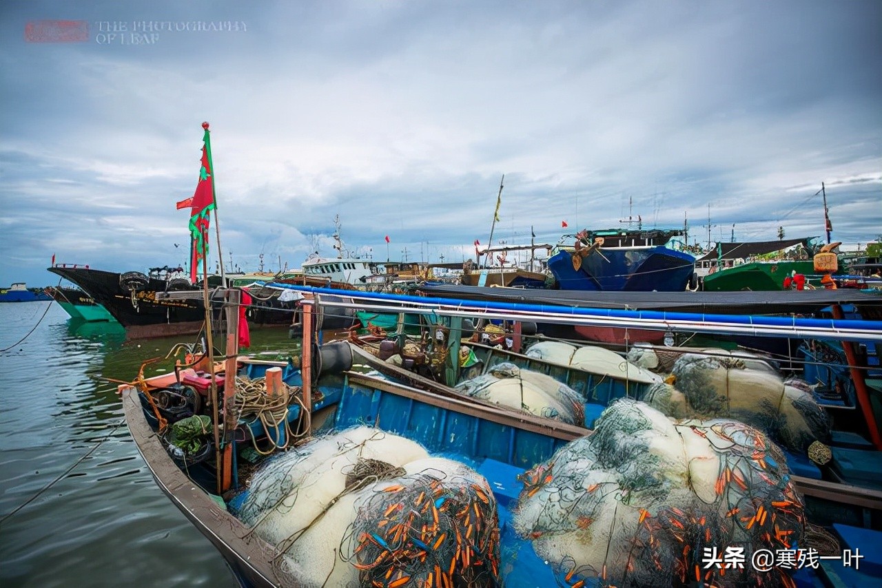海南文昌环球码头海鲜,海南文昌渔村码头
