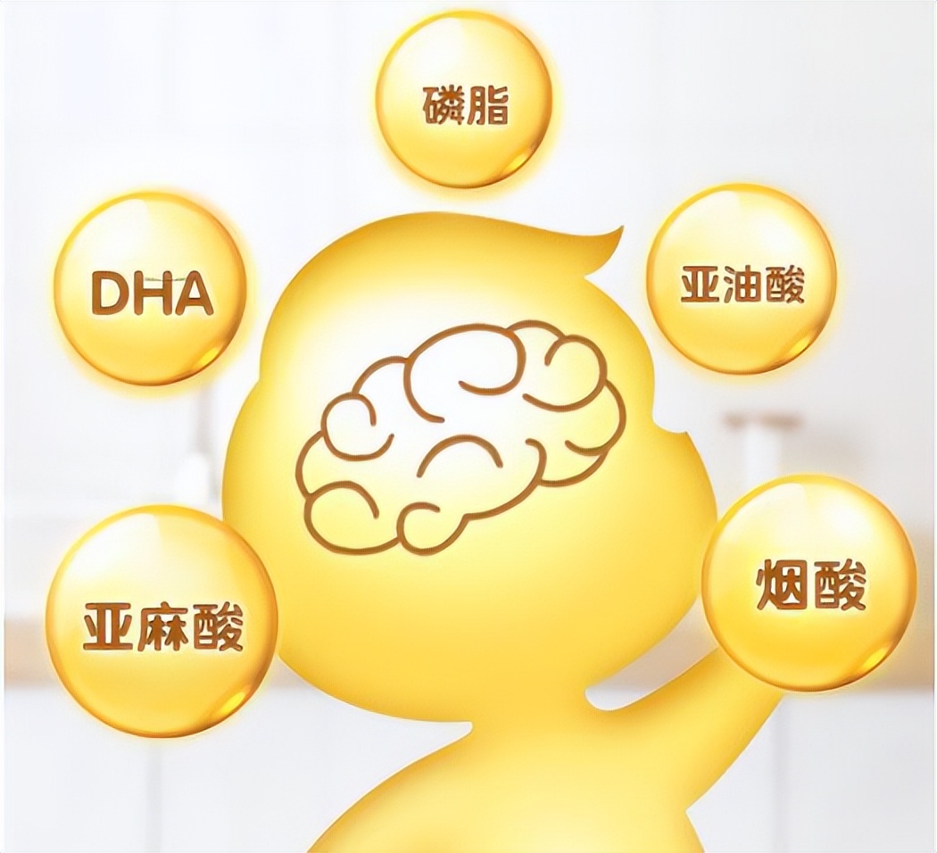 婴儿什么时候开始吃DHA,新生儿多久开始补充dha