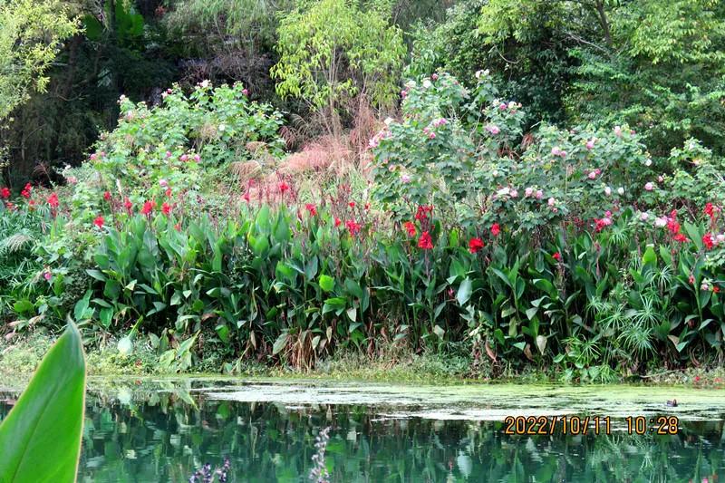 花溪小公园,美丽的花溪公园