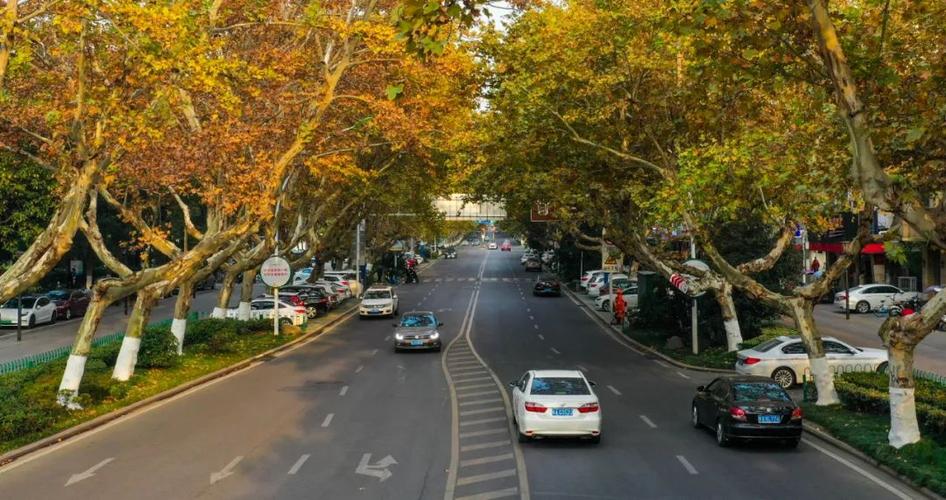 合肥市肥东县十大旅游景点,合肥市旅游景点大全排名榜