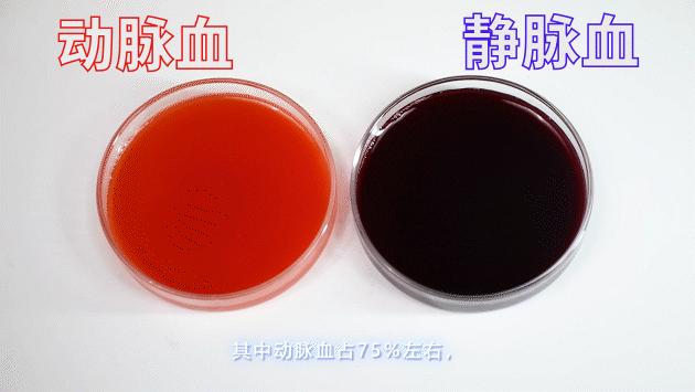 经血颜色辨别,经血到底什么颜色才算正常