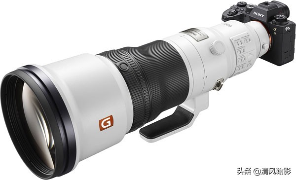 拍鸟买尼康z6还是z7,索尼a92代拍鸟怎么样