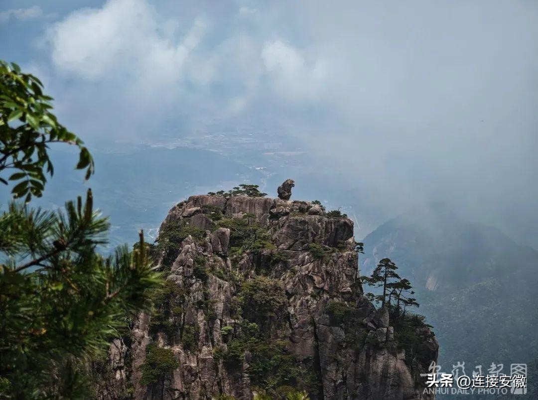 李斌、倪泽望、陈天石、李西廷……这些头部企业家为安徽发声