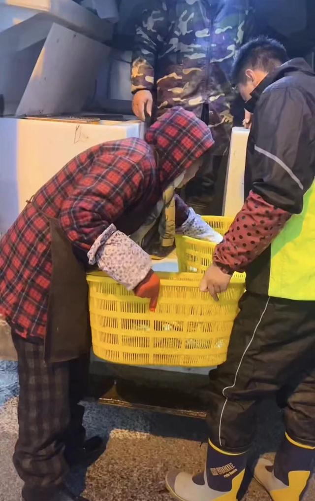 演员李飞帮妈妈卖鱼引发的思考,演员李飞帮妈妈摆摊卖鱼