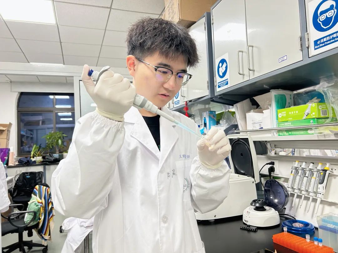 这把“蚁巢伞”在复旦落地了！