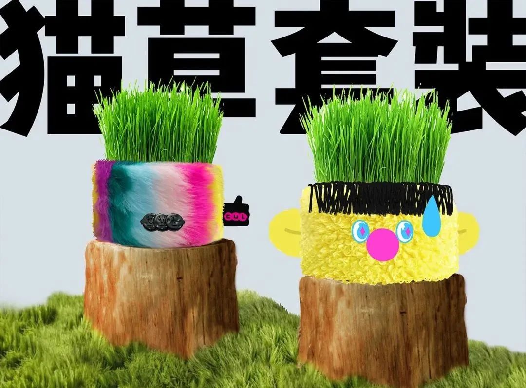 猫主子新零食,给猫的零食大礼包推荐