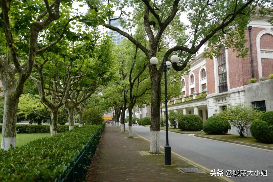 去这条充满松弛感的“小马路”，慵懒地溜达一天才是正经事