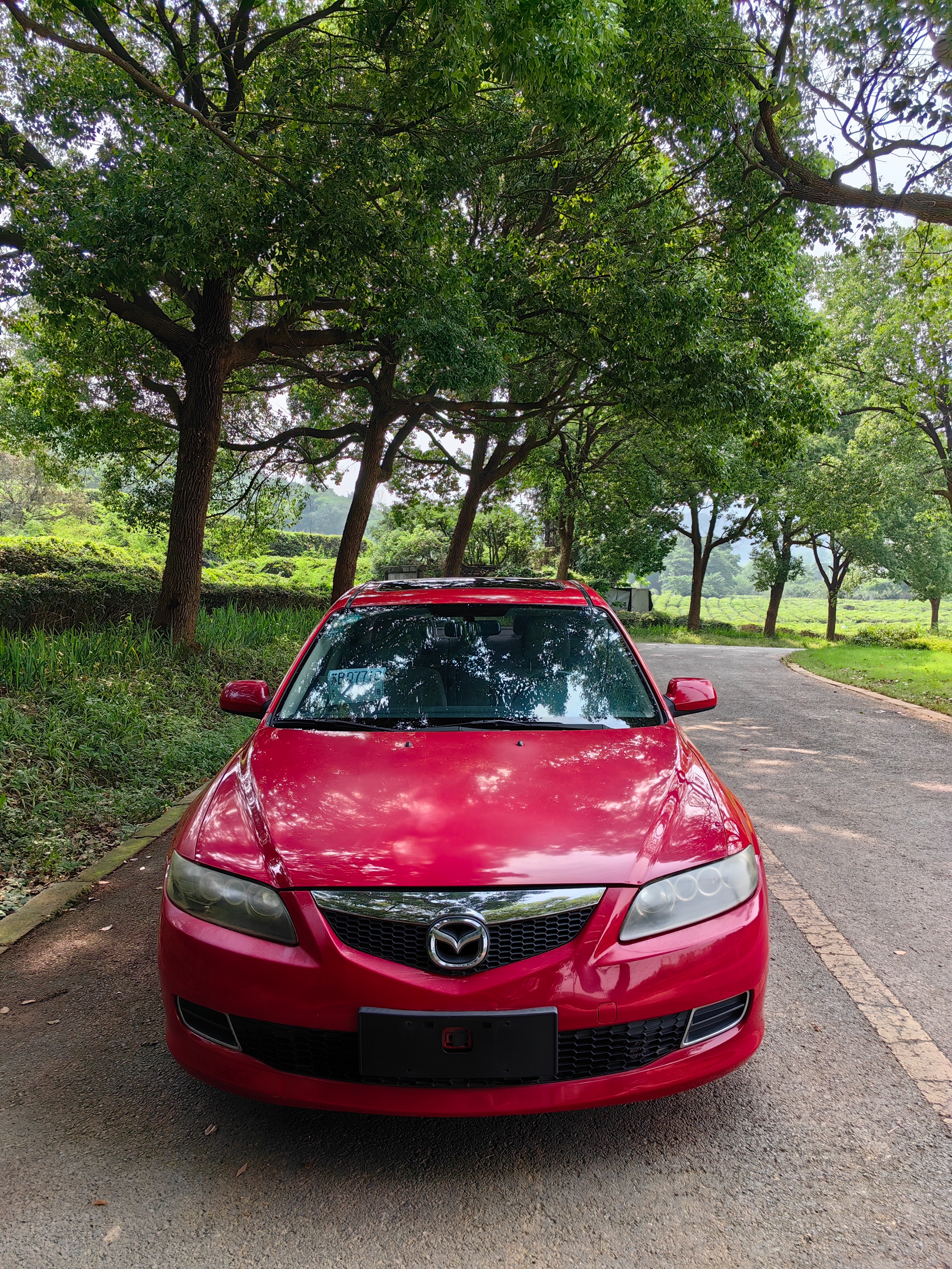 马六东瀛宝马弯道小王子全景图,马六为什么被称为弯道之王视频