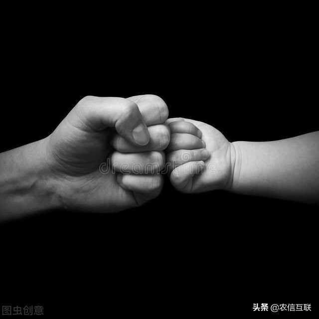 饲料价格高企养猪成本高,原料涨猪价跌如何维持饲养成本