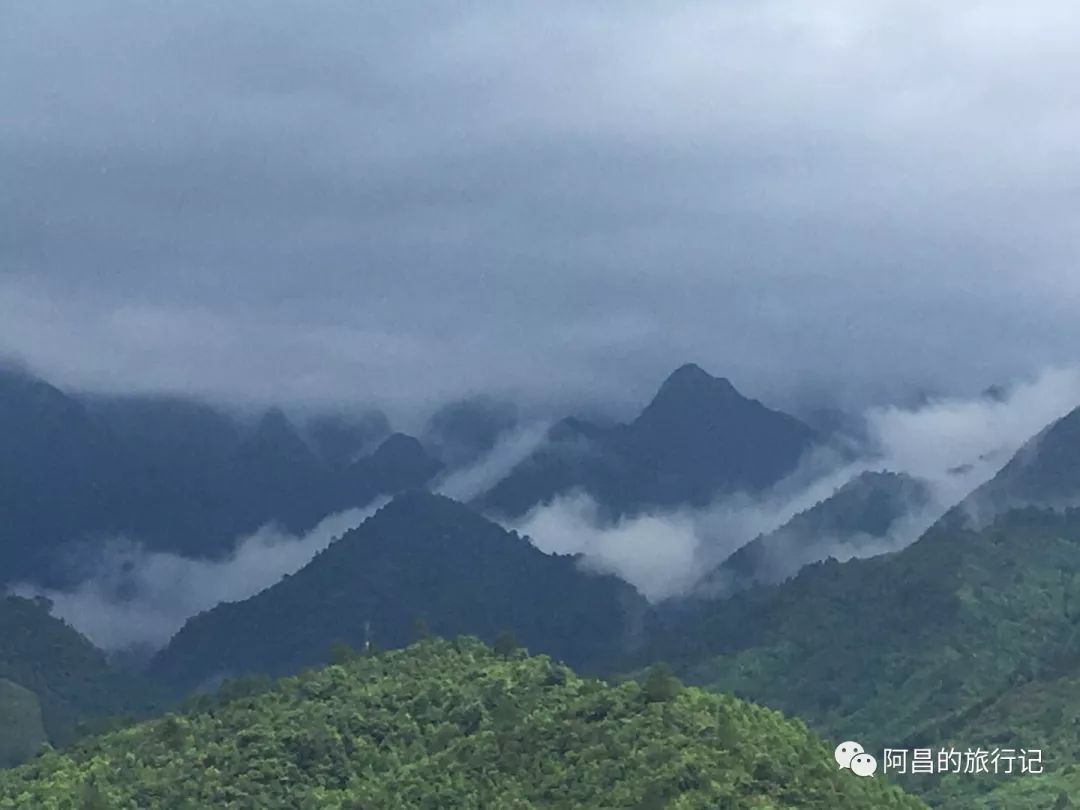 广西十万大山国家森林公园,广西十万大山国家森林公园图片