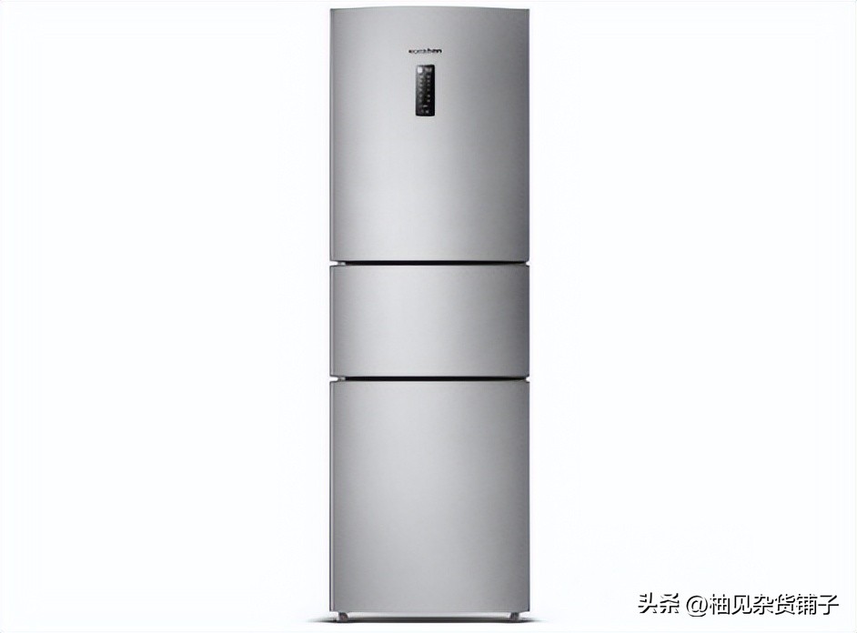 双开门冰箱的款式是什么样的,法式多门冰箱与十字对开门冰箱