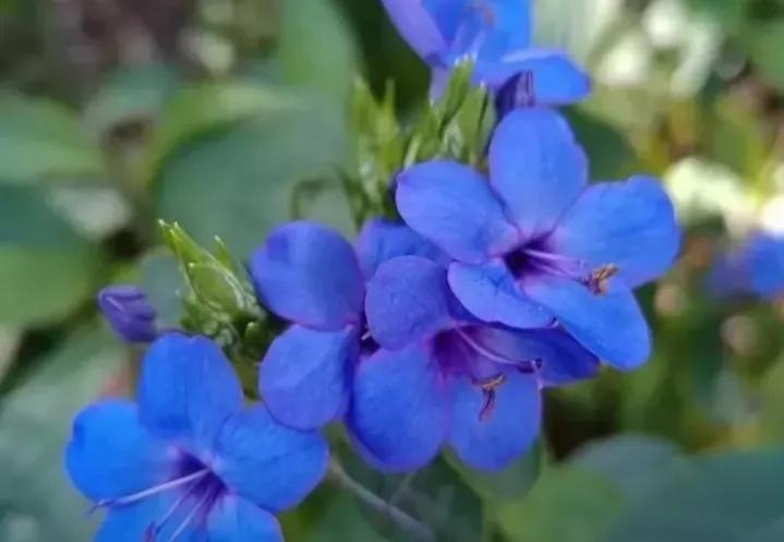 成功人士不轻易分享的自学秘诀,自学能力决定人生的高度和方法