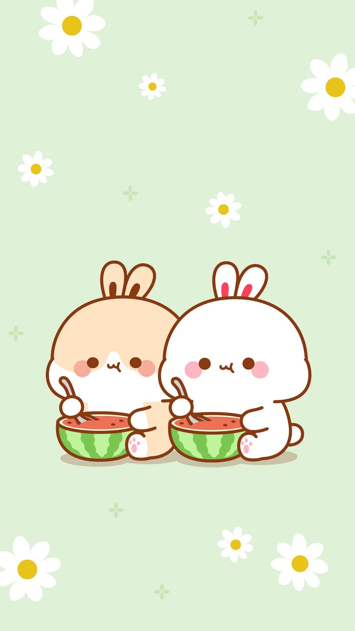 傻乎乎二人组兔兔～日子一般般快乐很简单