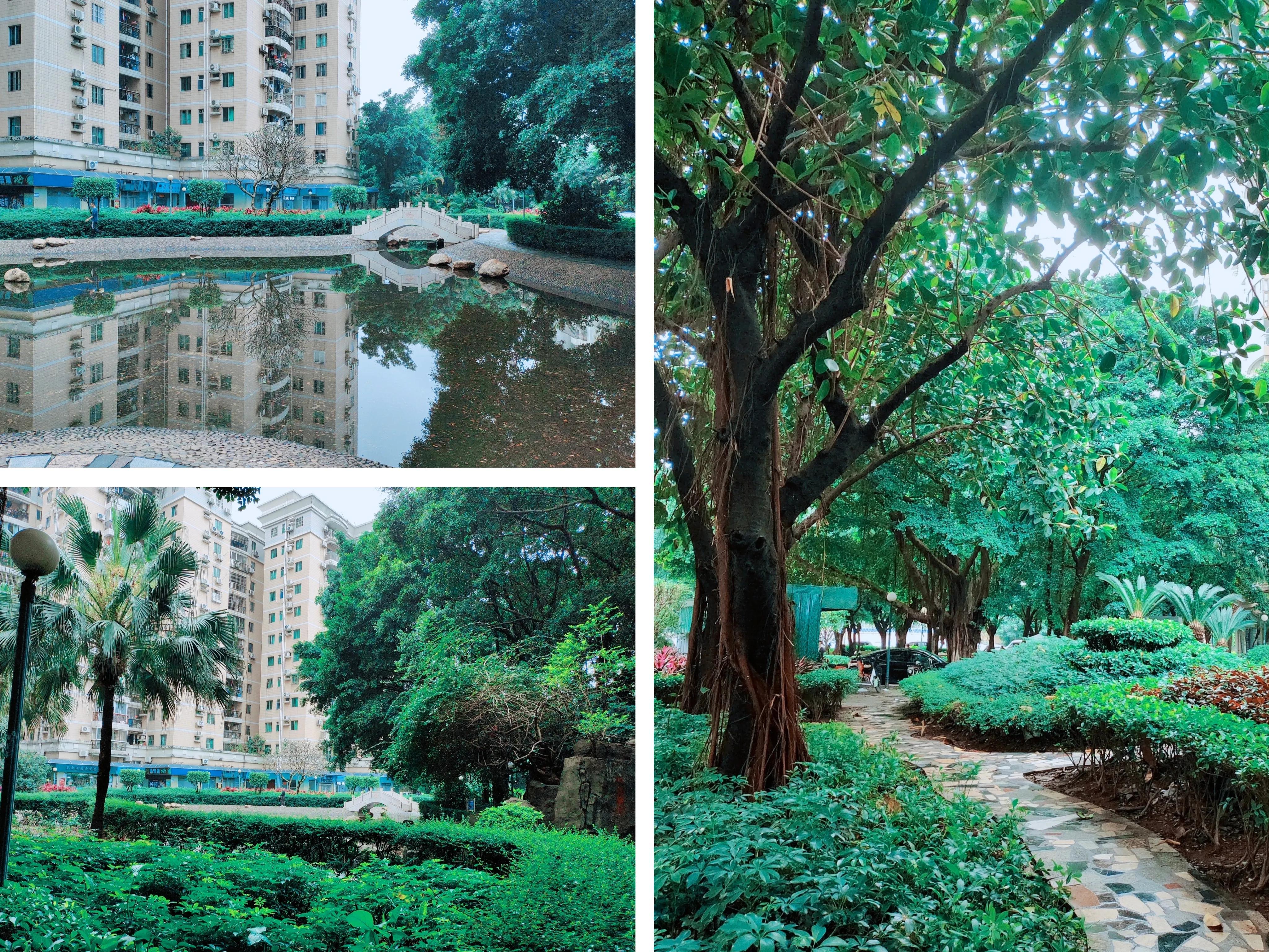 广州买房记录,广州第三金碧