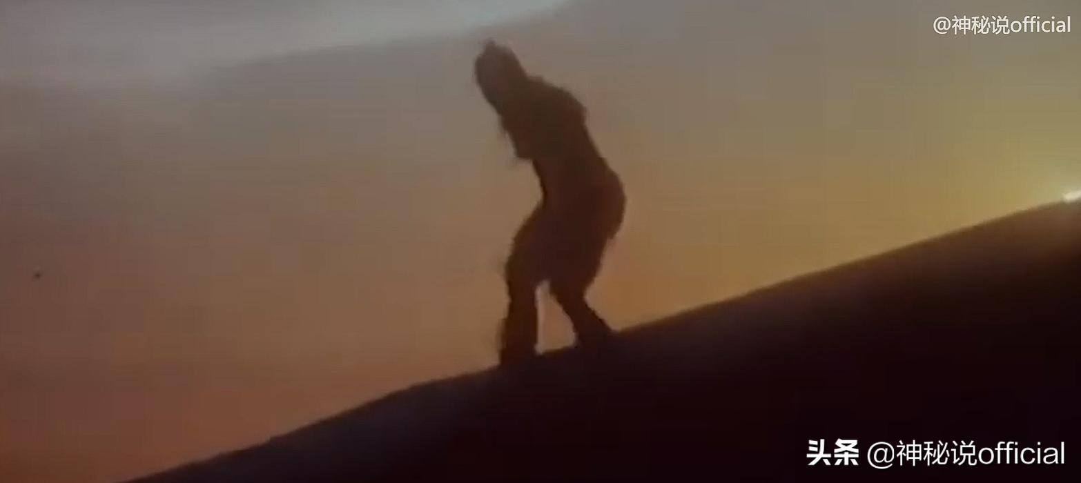 护林员发现野生大熊猫幼崽,山中野人被村民成功抓住