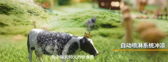 认养一头牛超标吗,认养一头牛事件牛奶受影响吗