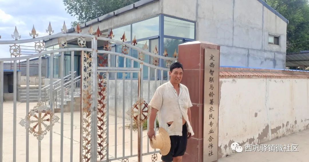 小薯苗脱贫致富项目,小土豆撬起致富大产业