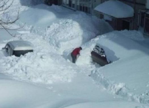 是谁在撩拨我的好奇心,是谁在撩动琴弦