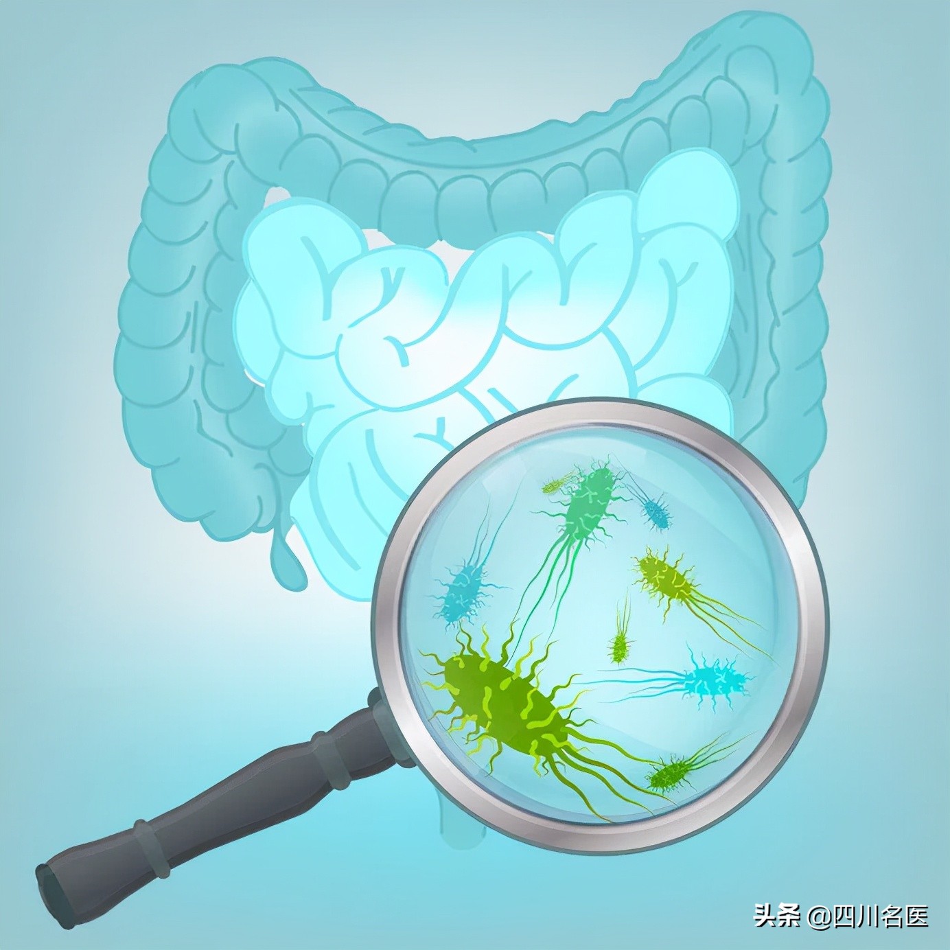 过敏乳糖不耐受吃什么益生菌,益生菌可以改善肠道过敏吗