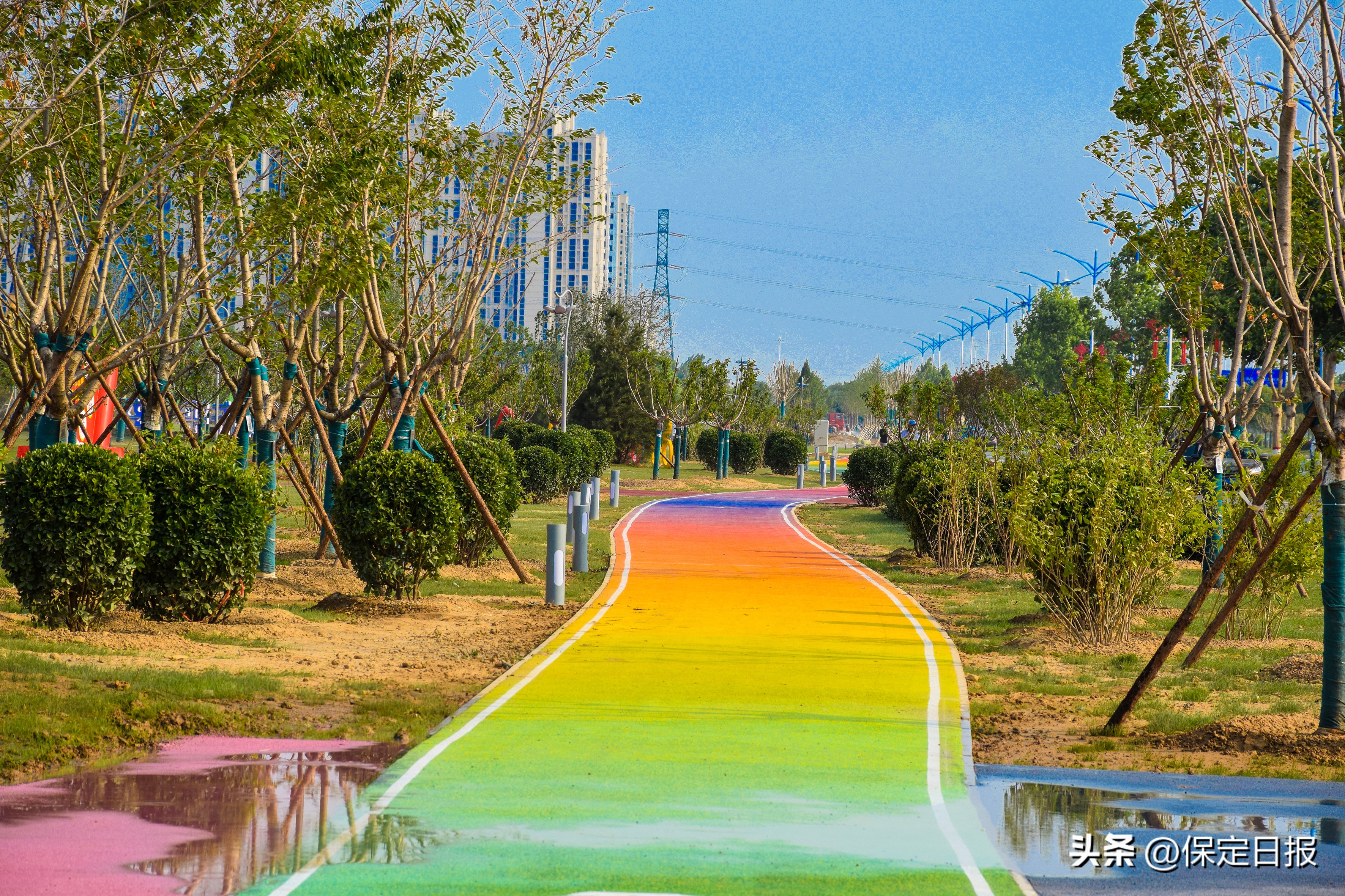 保定生态园林城市,坚持生态优先聚力发展绿色农业