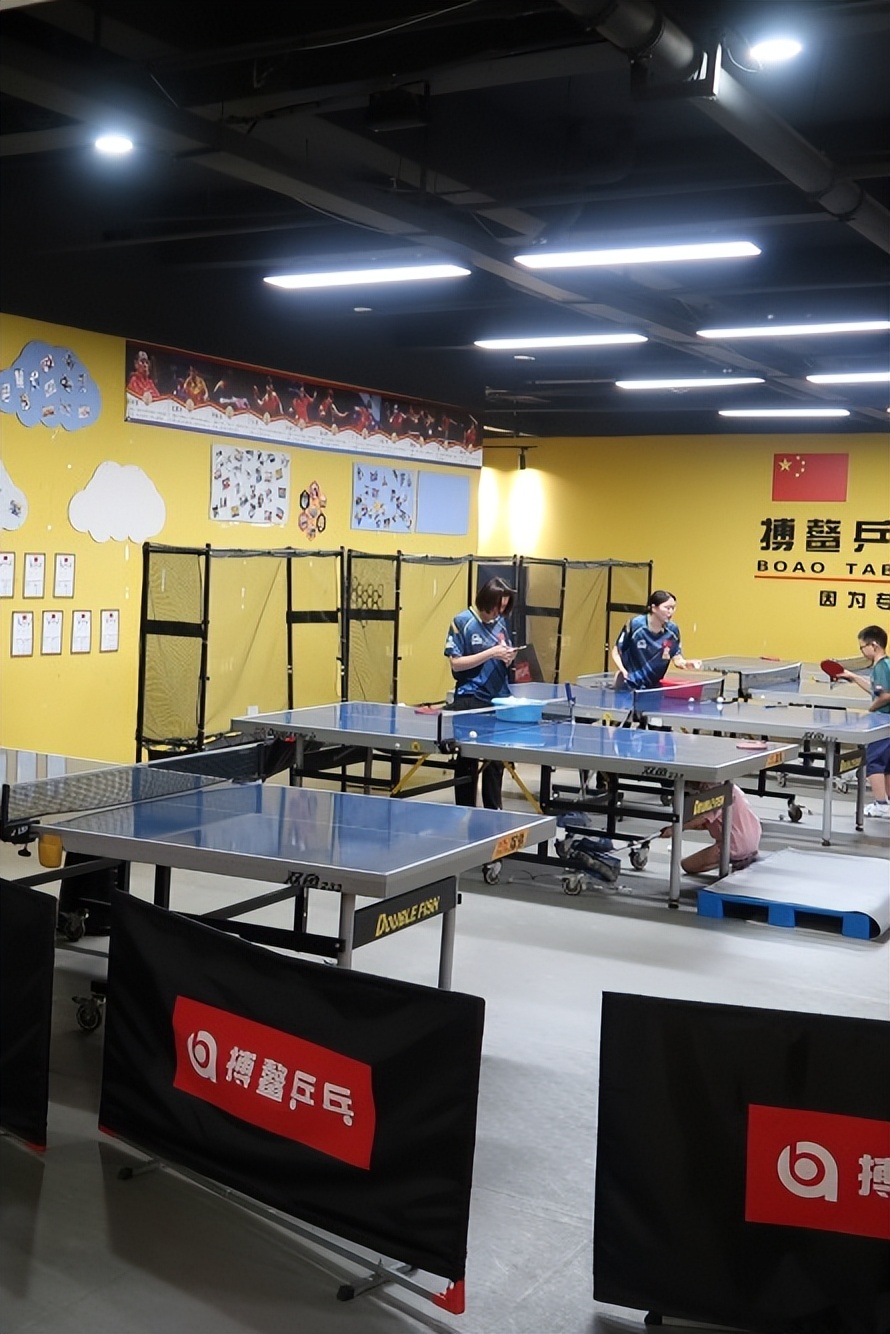 收藏价值的篮球推荐,收藏价值高乒乓球拍