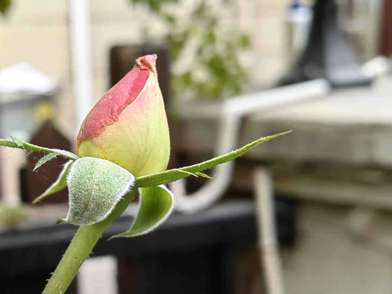 封控期间，一个人一见到我，就说他快疯了。怎么办呢？