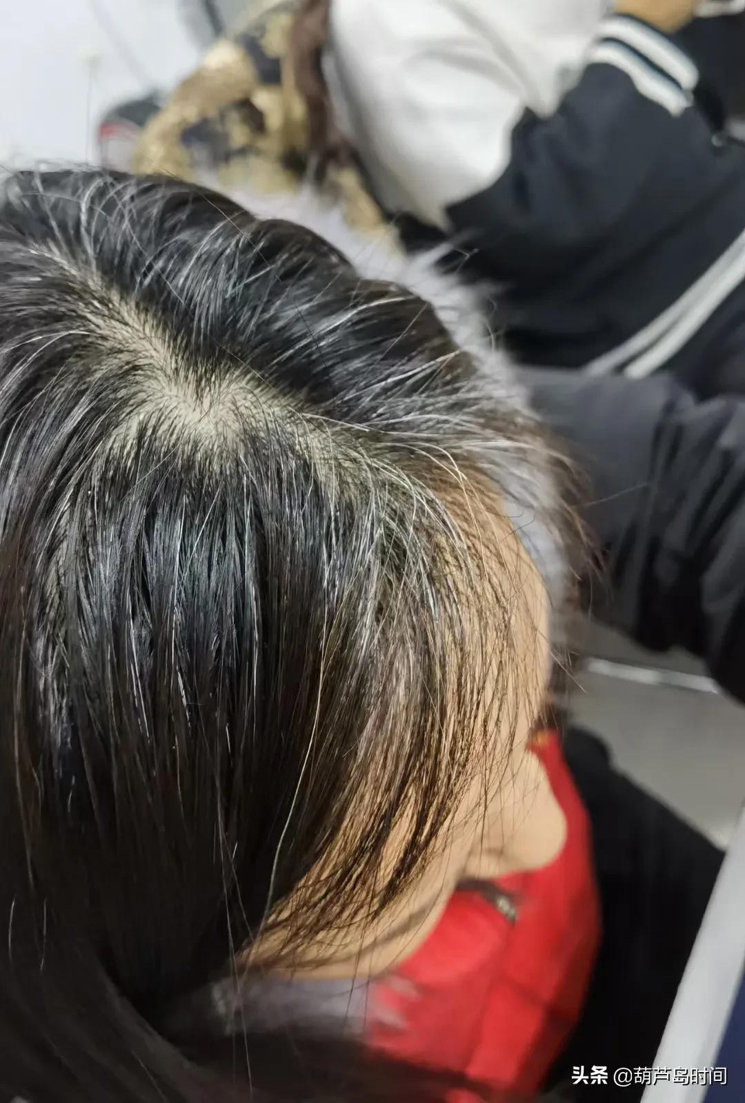 葫芦岛市龙港区抗击疫情,葫芦岛龙港区疫情志愿者