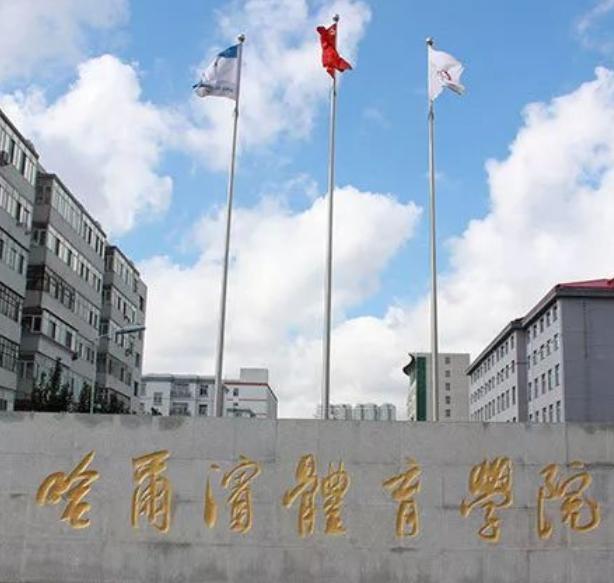 解说冬奥会高亭宇,冬奥高亭宇旗手