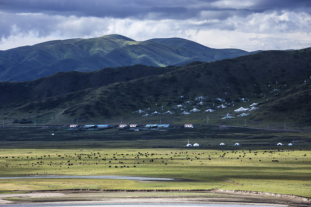 西部大草原旅游攻略,四川红原大草原自驾旅游攻略