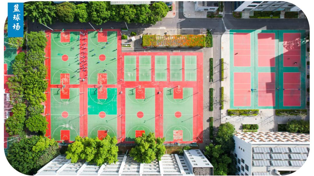 深圳光明高级中学体育场,深圳光明高级中学校队