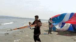 老鼠贴粘到鸟违法吗,老鼠贴能粘住死人吗