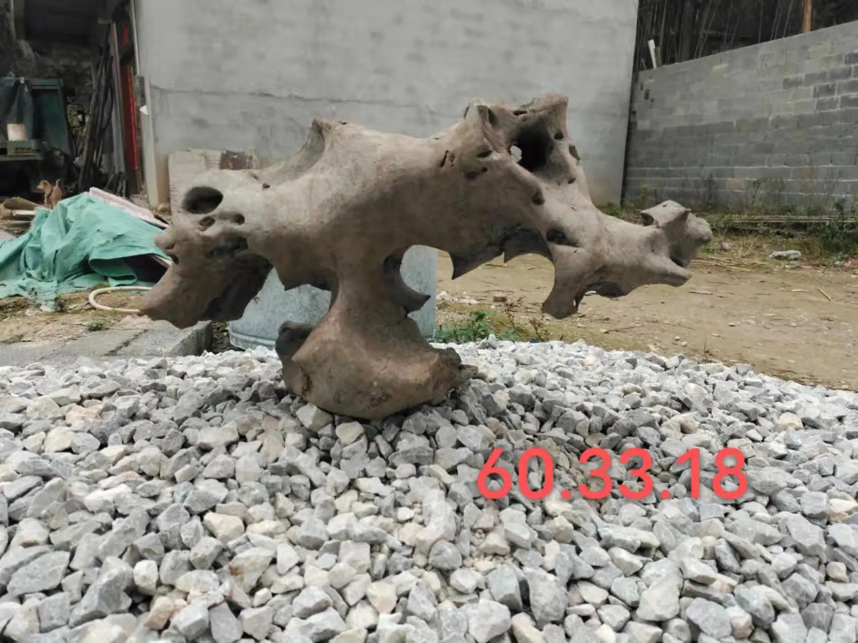 天然太湖石原石小摆件直播,太湖石原石用什么抛光