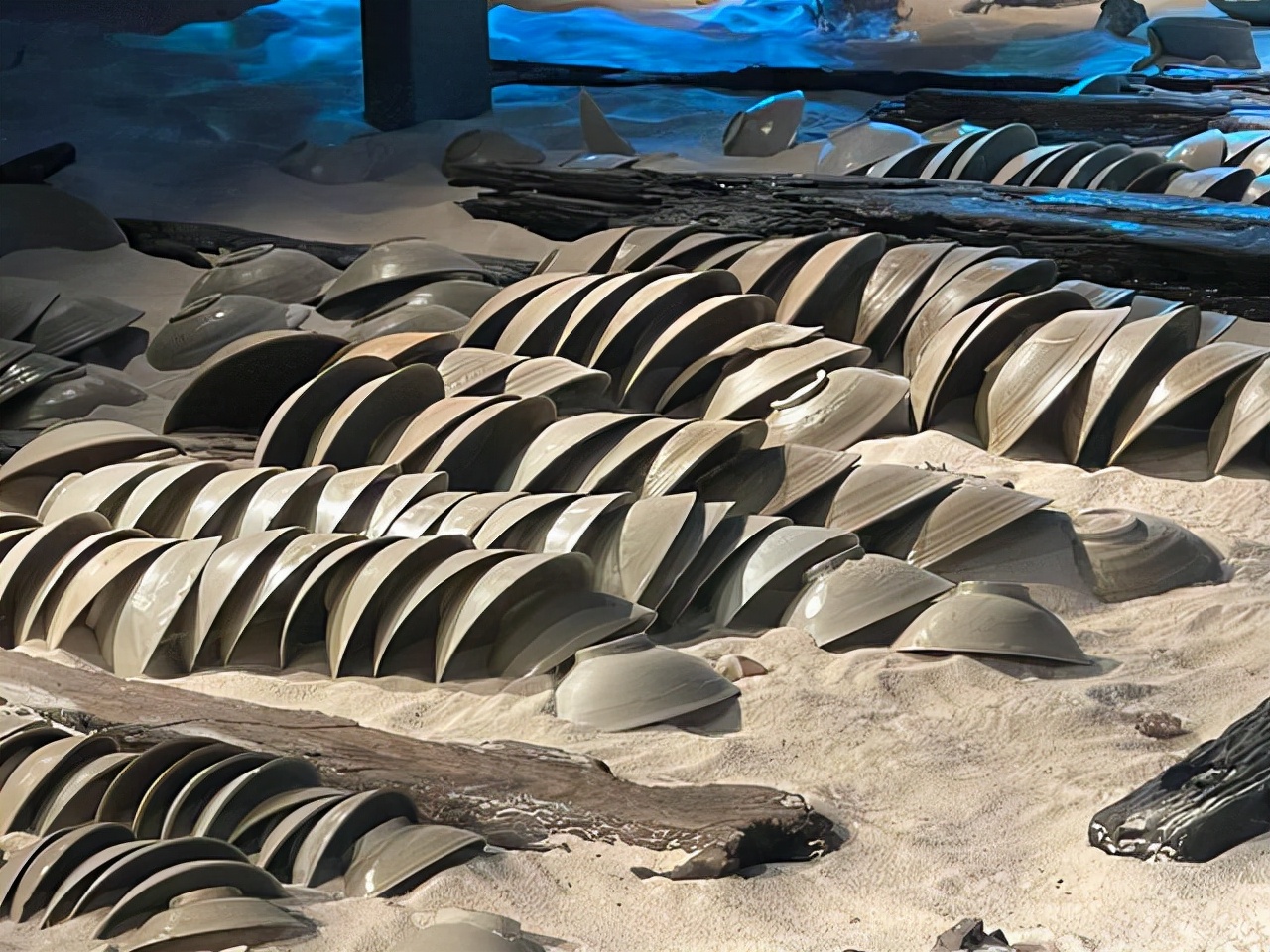 博鳌印象：住宿忒便宜，古宅太感慨，沉船太揪心