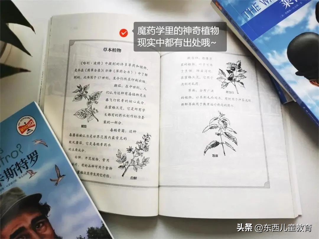 我分享的英语学习，被小学生家长喷“没有触及灵魂”……