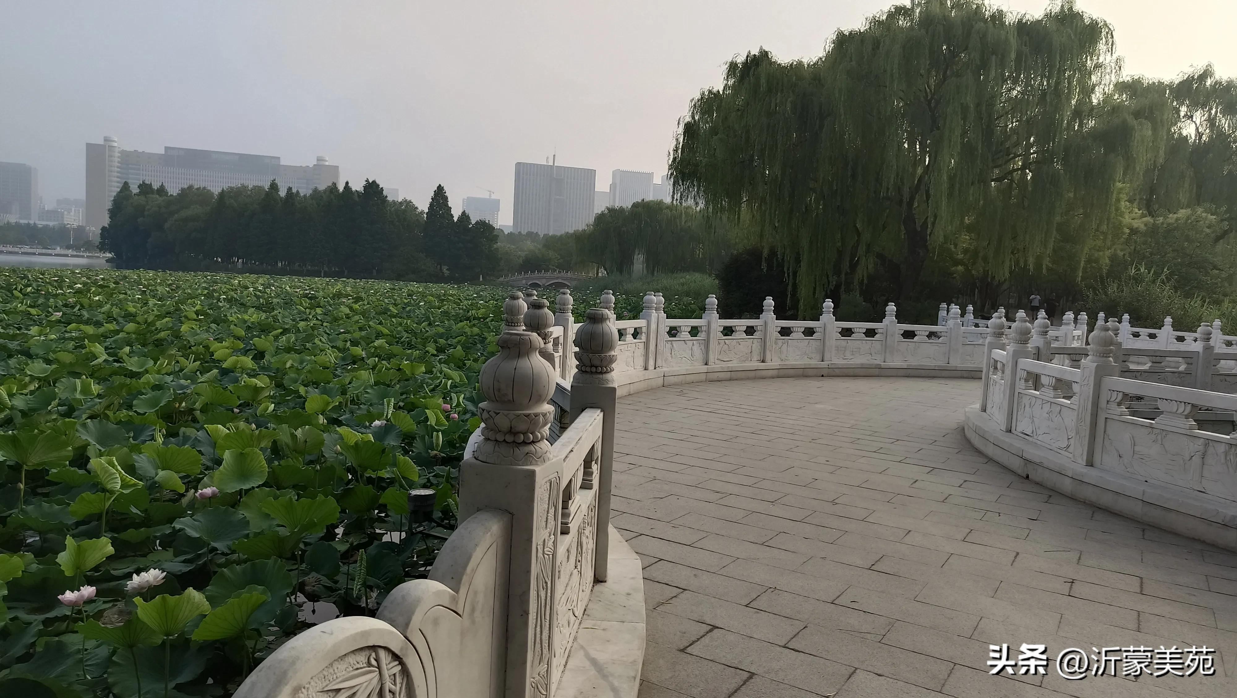 这个季节临沂哪里玩最好,夏天的临沂五洲湖