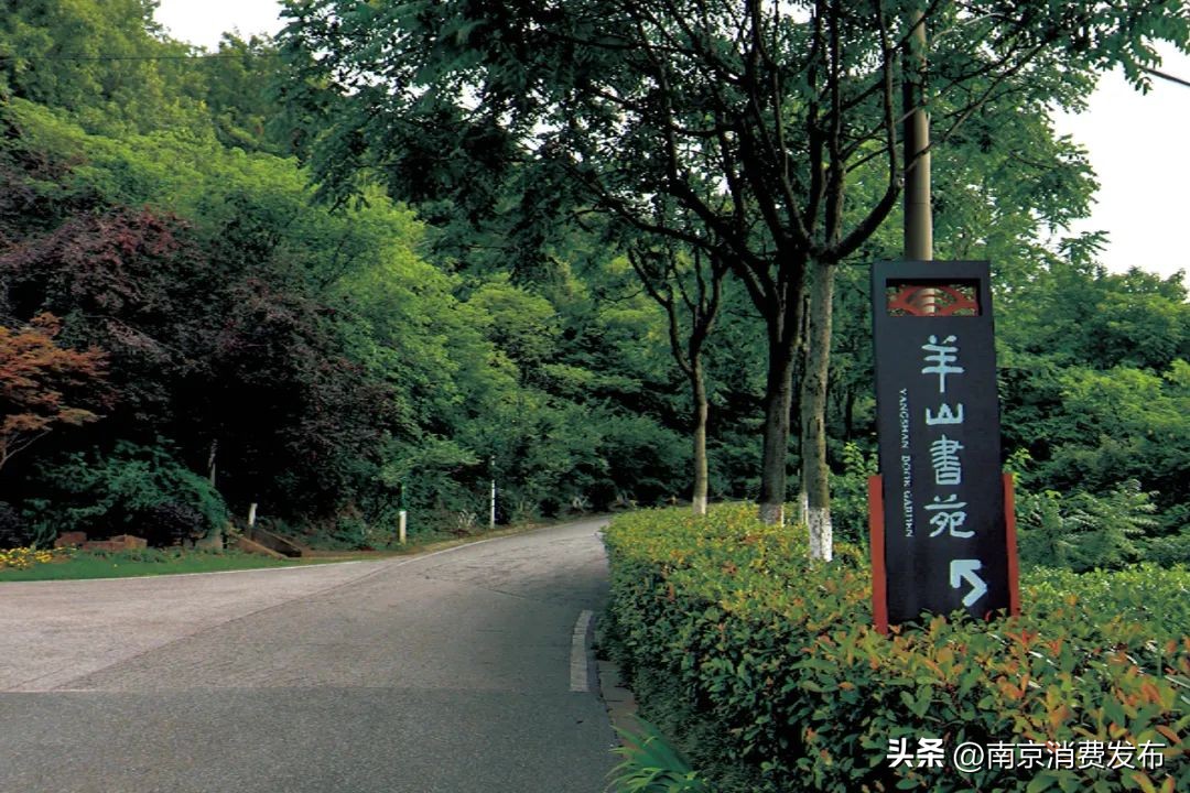 南京citywalk指南,南京12月份citywalk