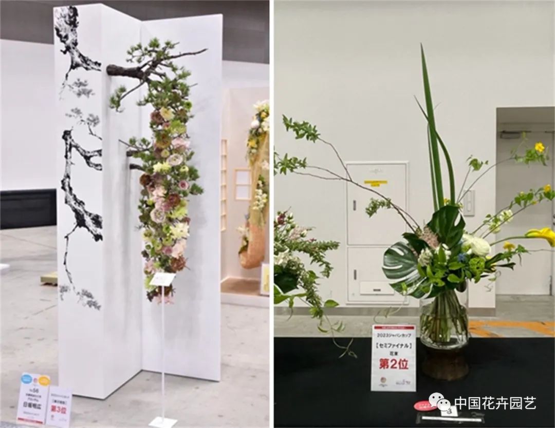 “日本杯”花艺大赛决出父子冠亚军海盛控股收购丹麦企业美情人节玫瑰销售占全年三成|每周国际花讯